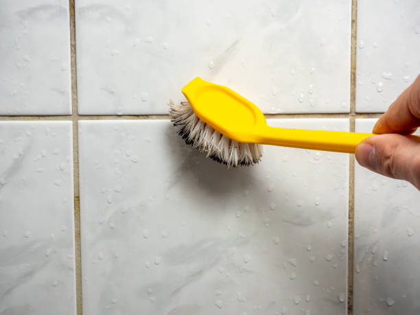 Home Mold Removal in Vine Hill, CA