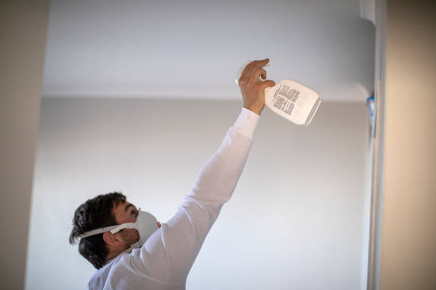 Best Best Mold Removal Companies  in Vine Hill, CA