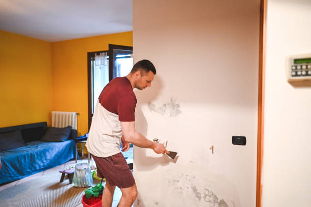 Best Toxic Mold Removal  in Vine Hill, CA